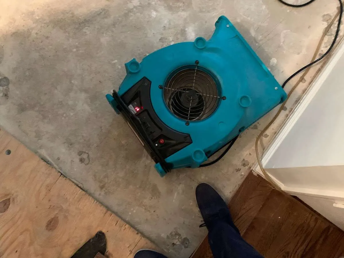 Air mover drying subfloor during Commercial Water Damage Restoration in Hillsboro